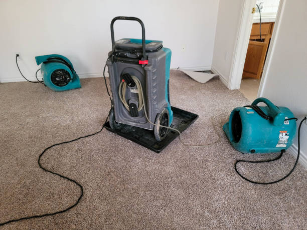 Best Ceiling water damage repair  in Lansdowne, PA