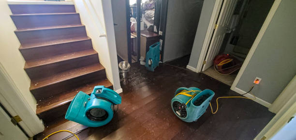 Best Water damage cleanup near me  in Lansdowne, PA