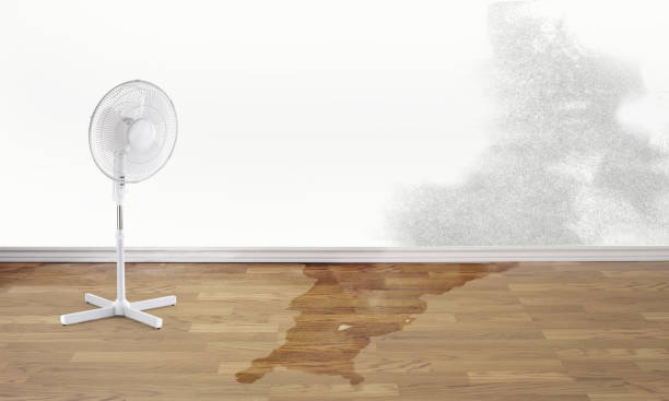Best 24/7 water damage repair  in Lansdowne, PA
