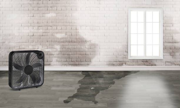 Best Water damage restoration near me  in Lansdowne, PA