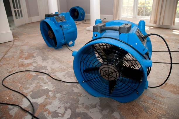 Best Fire Damage Restoration  in Lansdowne, PA