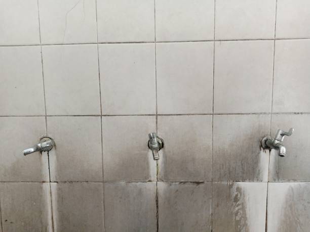 Best 24/7 water damage repair  in Lansdowne, PA