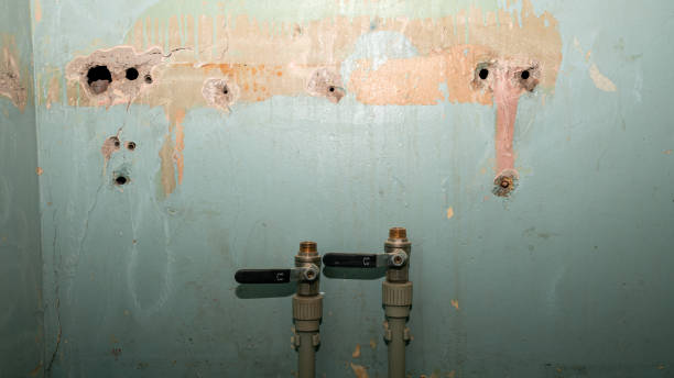 Best Water damage contractors near me  in Lansdowne, PA