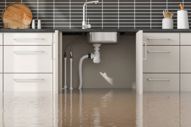 Best Water damage restoration services  in Lansdowne, PA