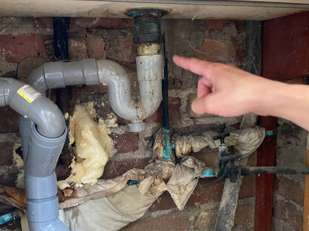 Best Mold removal after water damage  in Lansdowne, PA