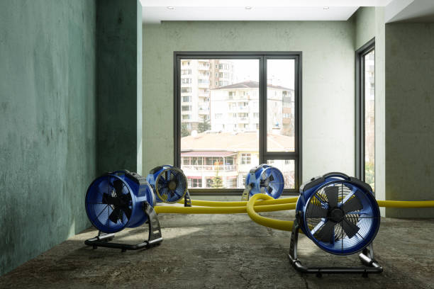 Best Water damage restoration near me  in Lansdowne, PA