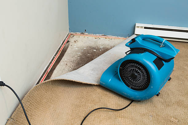 Best Professional water damage repair  in Lansdowne, PA